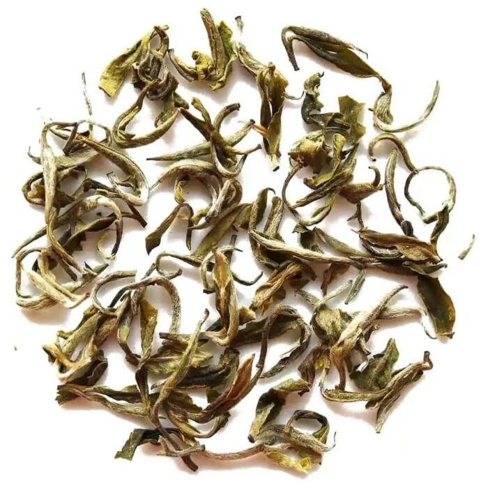 Bourgeons de neige Bai Mu Dan