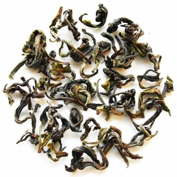 Himalayan Shiiba Himalayan Shiiba