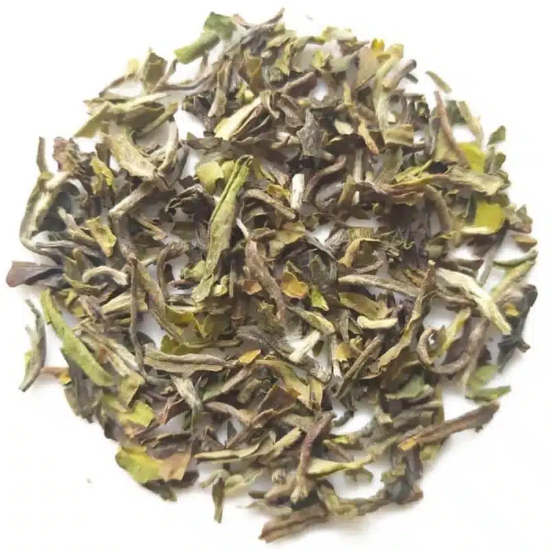 samabeong-1st-flush Darjeeling Samabeong 1st Flush