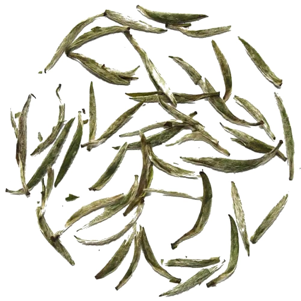 Baihao Yinzhen - Silver Needle