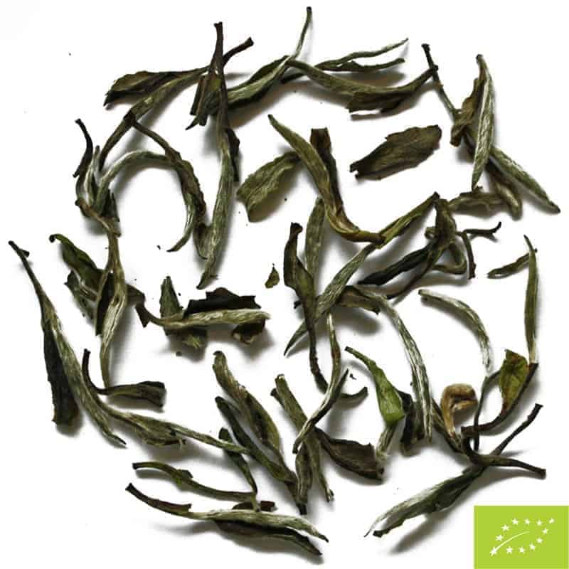 Bai Mu Dan Wang