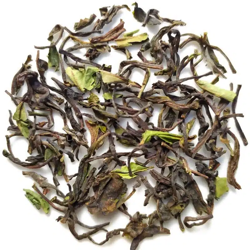 Nilgiri Frost