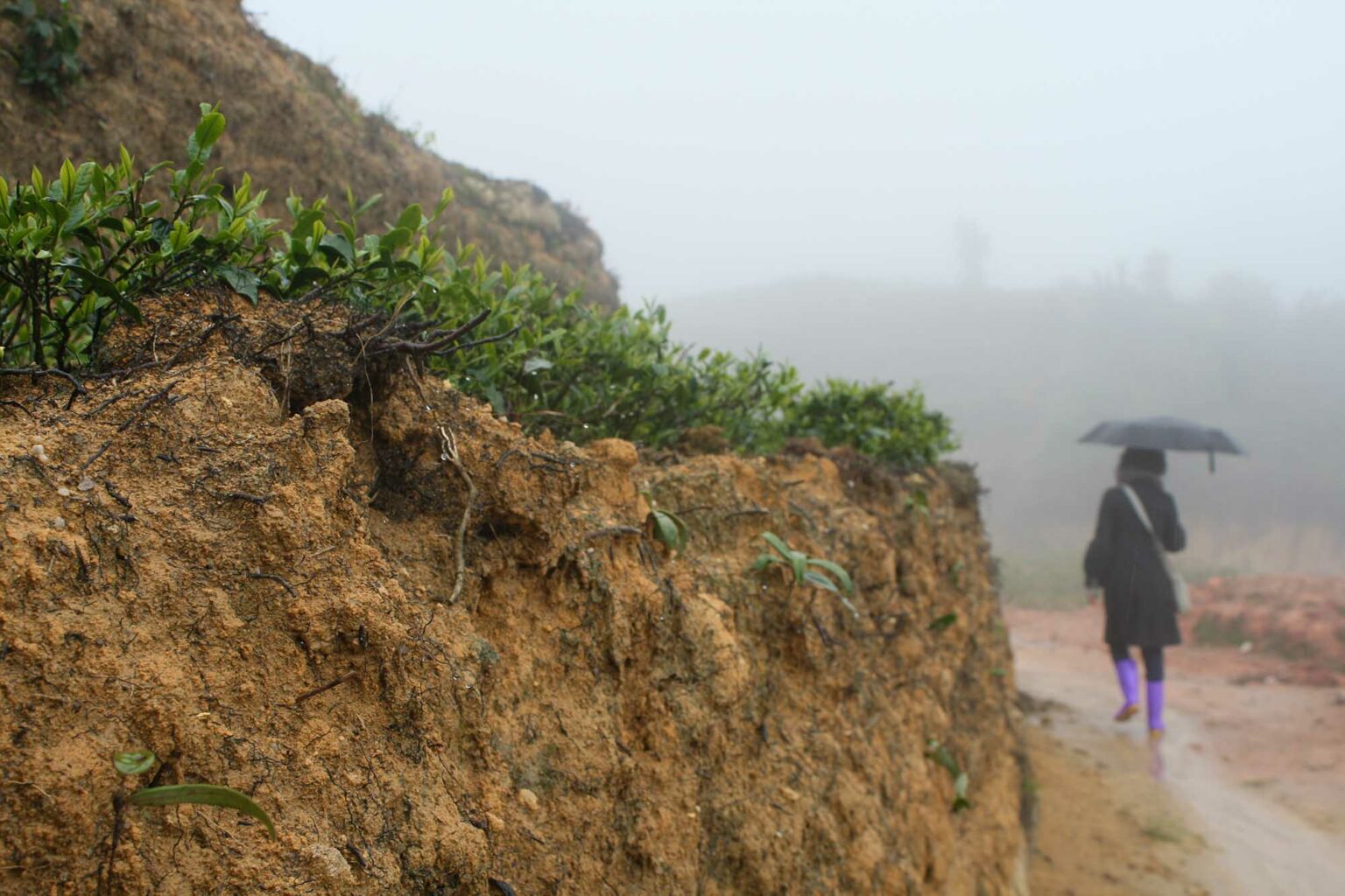 senast inkommet 2 svg%3E