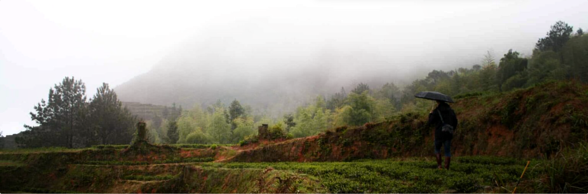 Tea and catering in a quiet environment