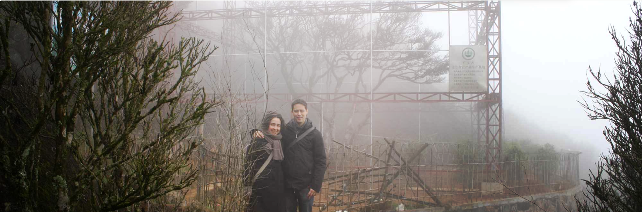 Premiumte för servering och grossist