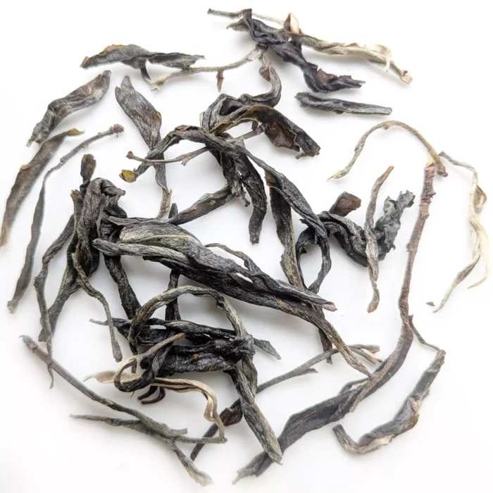 simao-arbor Simao Old Arbor Forest Tea 2025