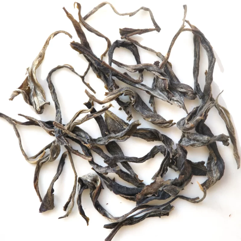 Simao Old Arbor Forest Tea 2025