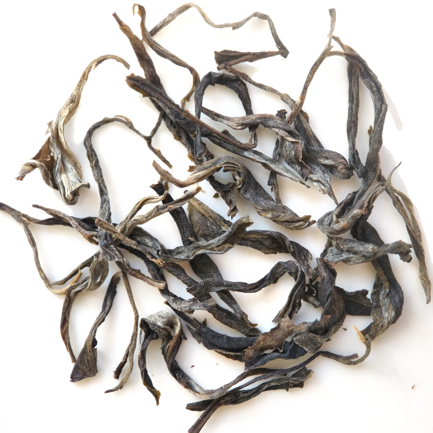 Simao Old Arbor Forest Tea 2025